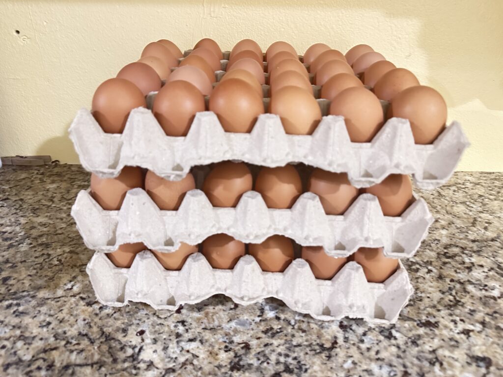 3Tray of Eggs
