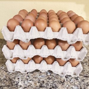 3Tray of Eggs