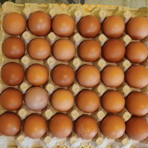 1 Tray (30 Eggs)