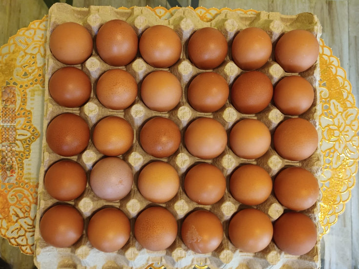 1 Tray (30 Eggs)
